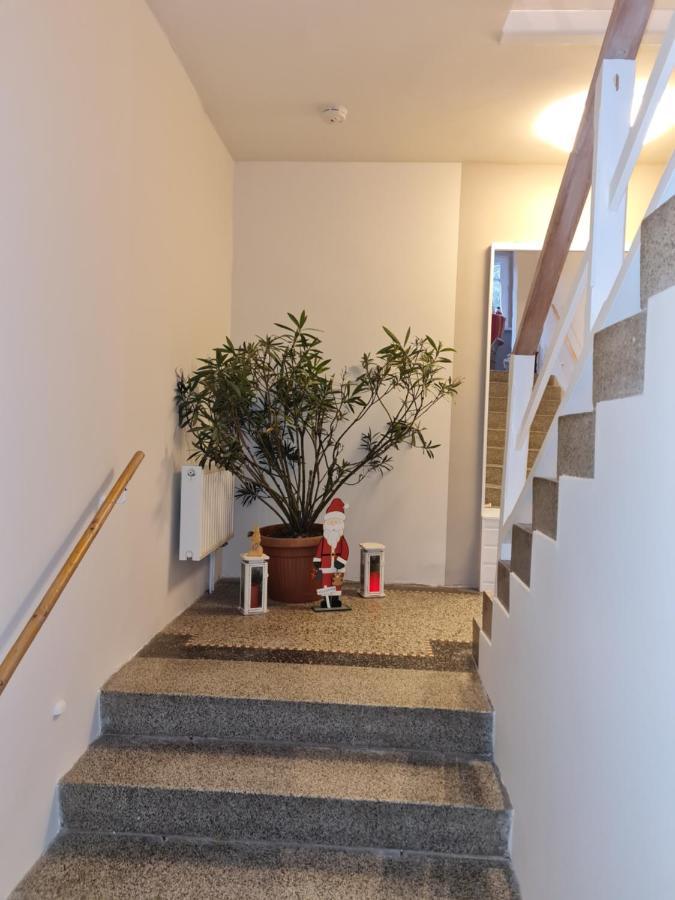 Apartament Haus Fernblick Kurort Bärenburg Zewnętrze zdjęcie