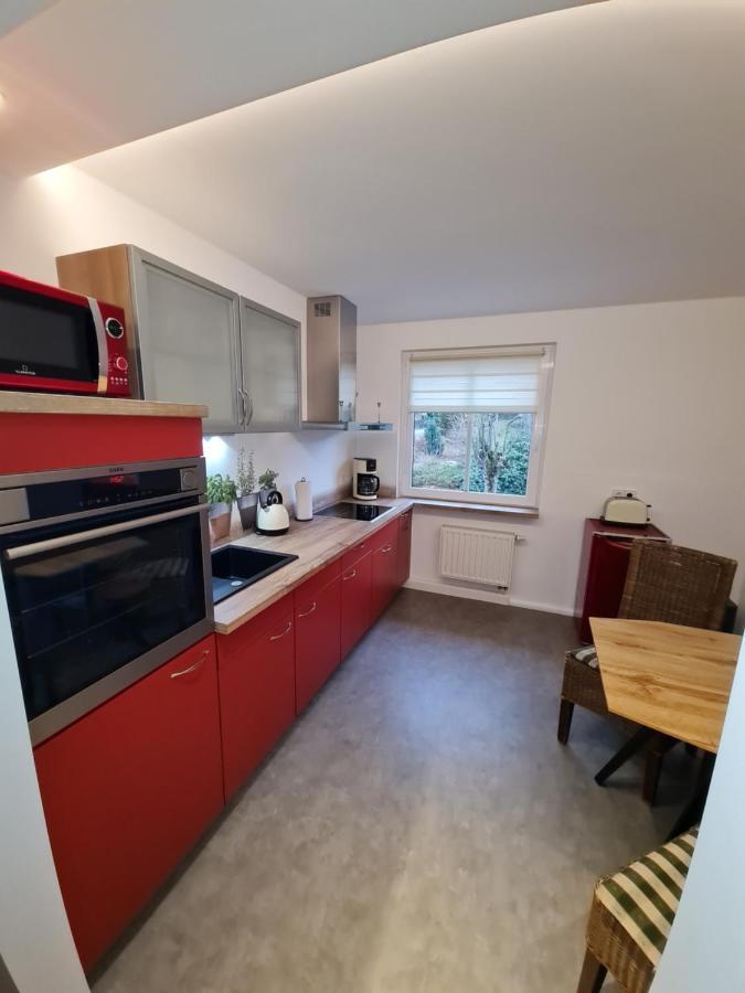 Apartament Haus Fernblick Kurort Bärenburg Zewnętrze zdjęcie